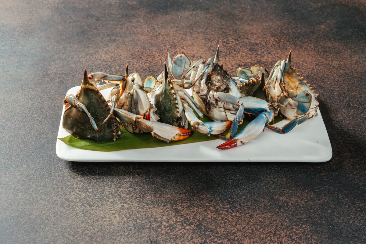 Blue Crab