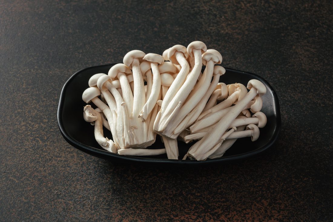 Shimeji Mushrooms