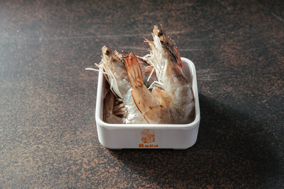 Shrimp